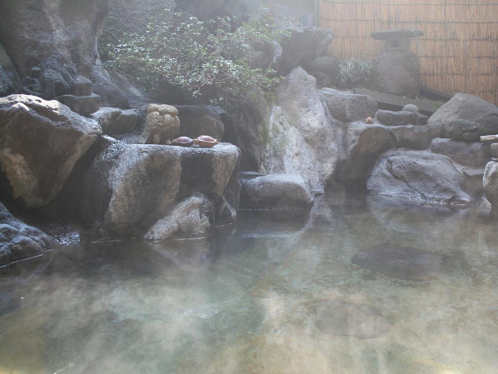 Sumiyosiya Ryokan Нодзава-Онсен Екстер'єр фото